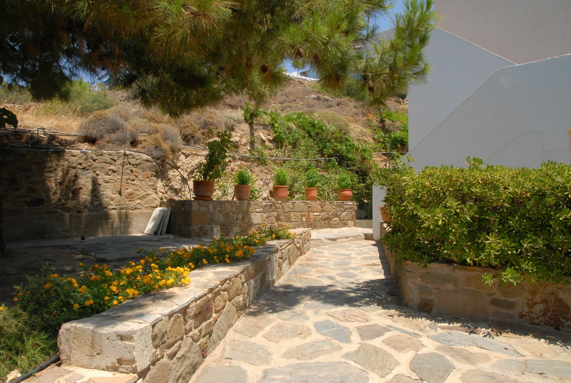 Zorbas Apartments Volissos Exterior foto